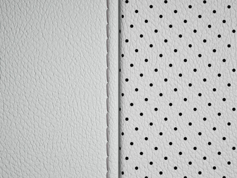 Sellerie Image 1