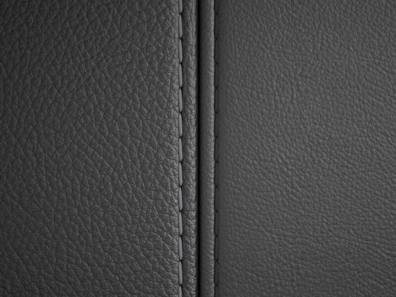 Sellerie Image 1