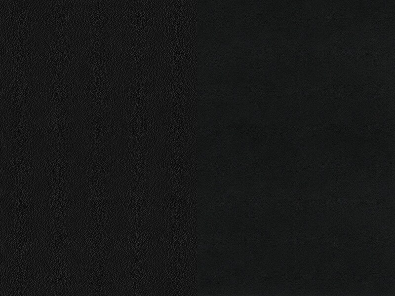 Sellerie Image 1