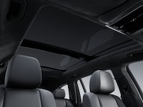 GLS Innenhimmel Mikrofaser MICROCUT schwarz