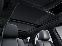 GLE MANUFAKTUR Innenhimmel Mikrofaser MICROCUT schwarz
