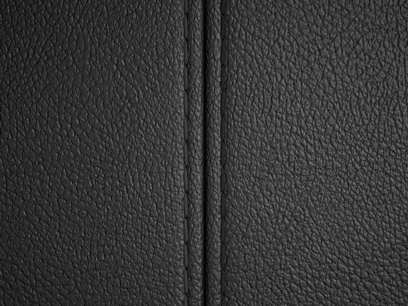 Sellerie Image 1