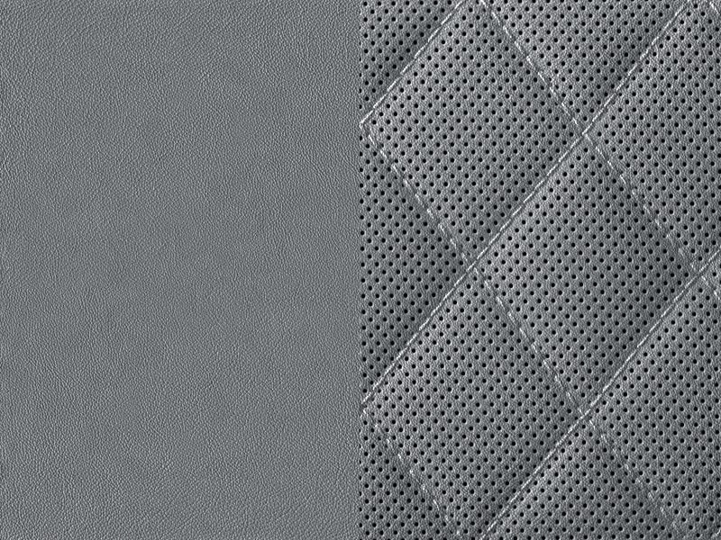 Sellerie Image 1