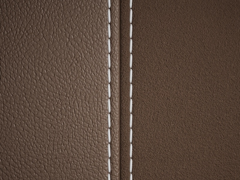 Sellerie Image 1