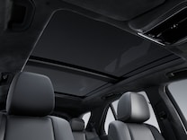 GLE MANUFAKTUR Innenhimmel Mikrofaser MICROCUT schwarz