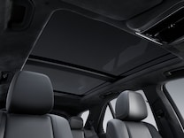 GLE Ciel de pavillon MANUFAKTUR en microfibre MICROCUT noir