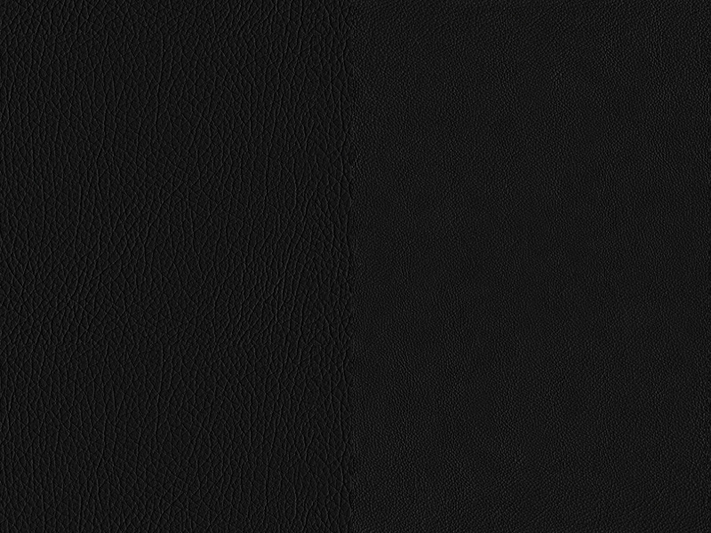Sellerie Image 1