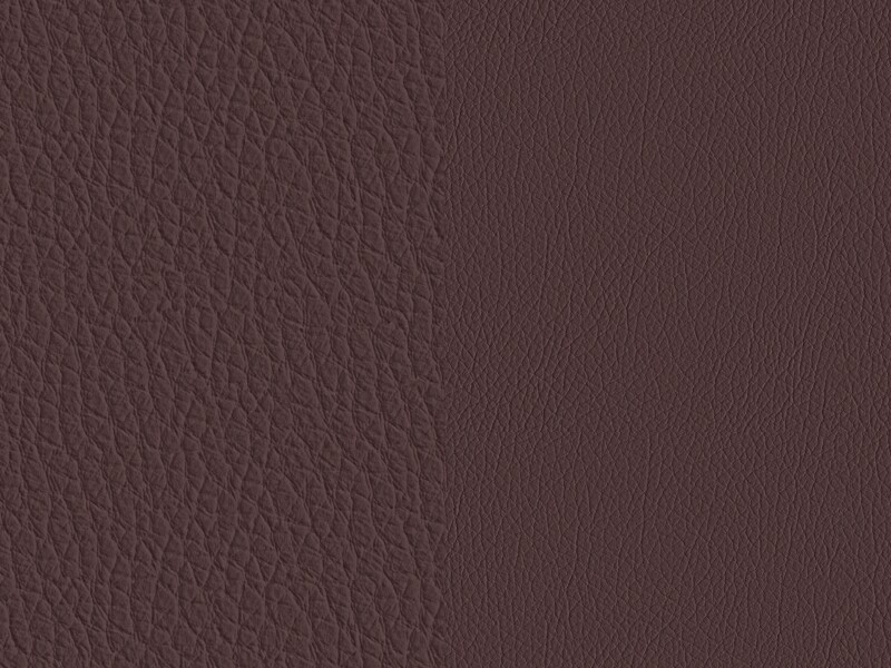Sellerie Image 1