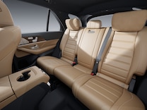 GLE Luxury rear head restraints