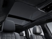 GLS Innenhimmel Mikrofaser MICROCUT schwarz