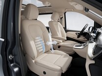 V-Class  Lumbar support, co-driver's seat