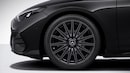 Bild von: 19" AMG Leichtmetallräder im Vielspeichen-Design