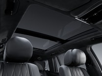 Mercedes-Maybach GLS MANUFAKTUR Innenhimmel Mikrofaser MICROCUT schwarz