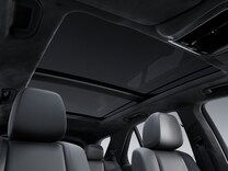 GLE Ciel de pavillon MANUFAKTUR en microfibre MICROCUT noir