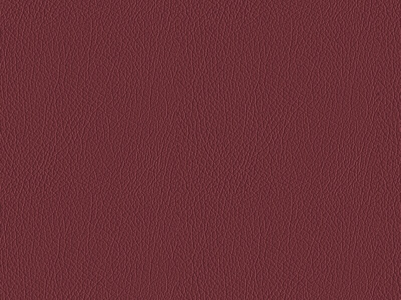 Sellerie Image 1