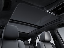 GLE Cielo interno microfibra DINAMICA nero