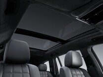 GLS Innenhimmel Mikrofaser MICROCUT schwarz