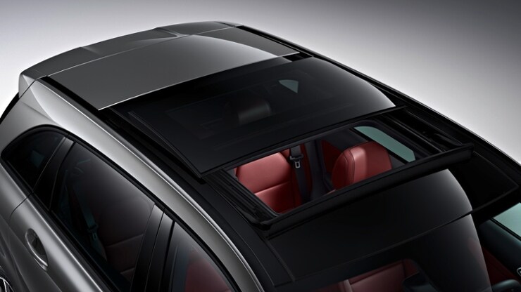 Panorama-Schiebedach 1